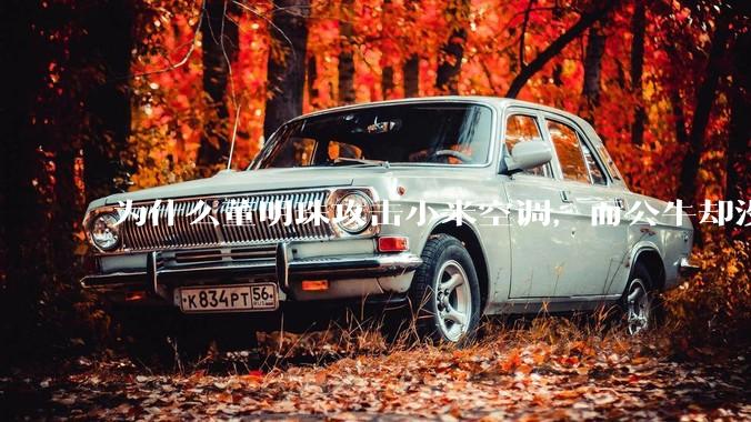 为什么董明珠攻击小米空调，而公牛却没有攻击小米插座？